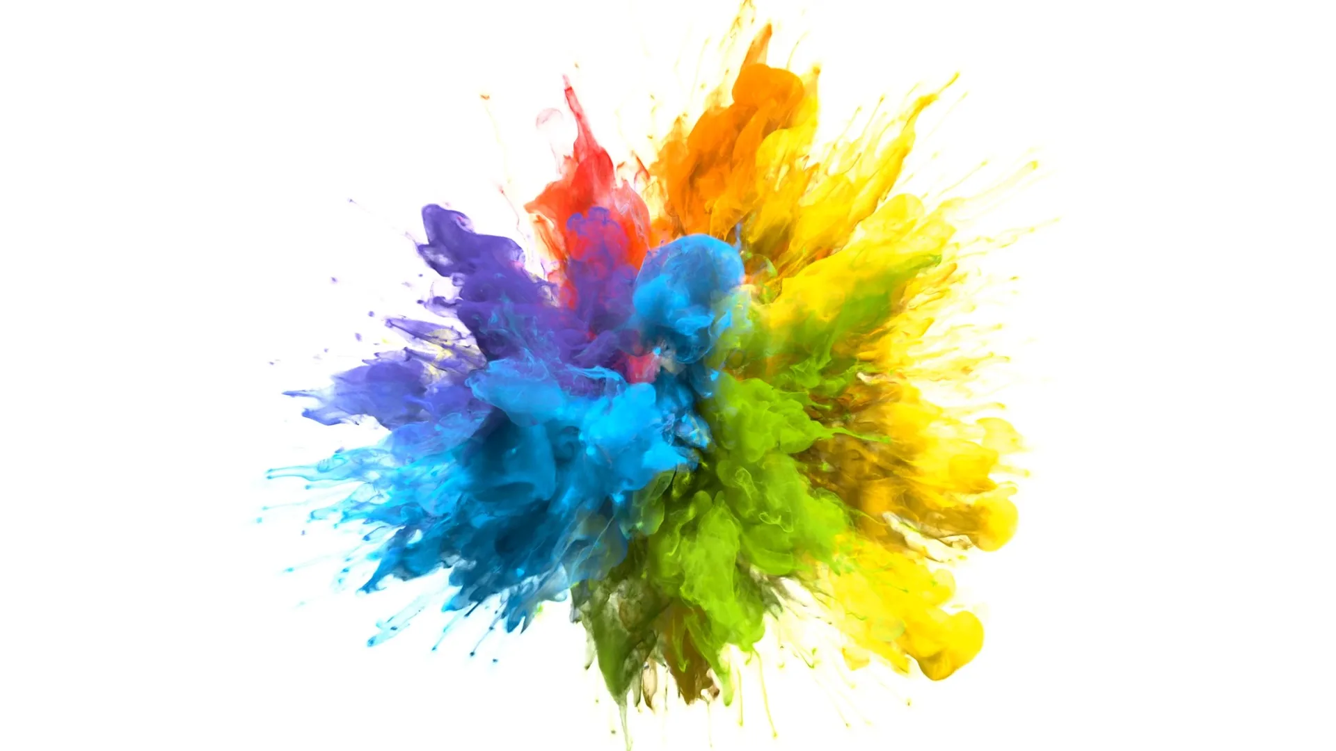 COLORS AND COATINGS
