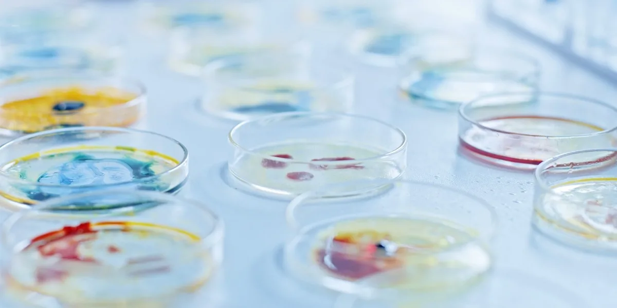 R and D Lab